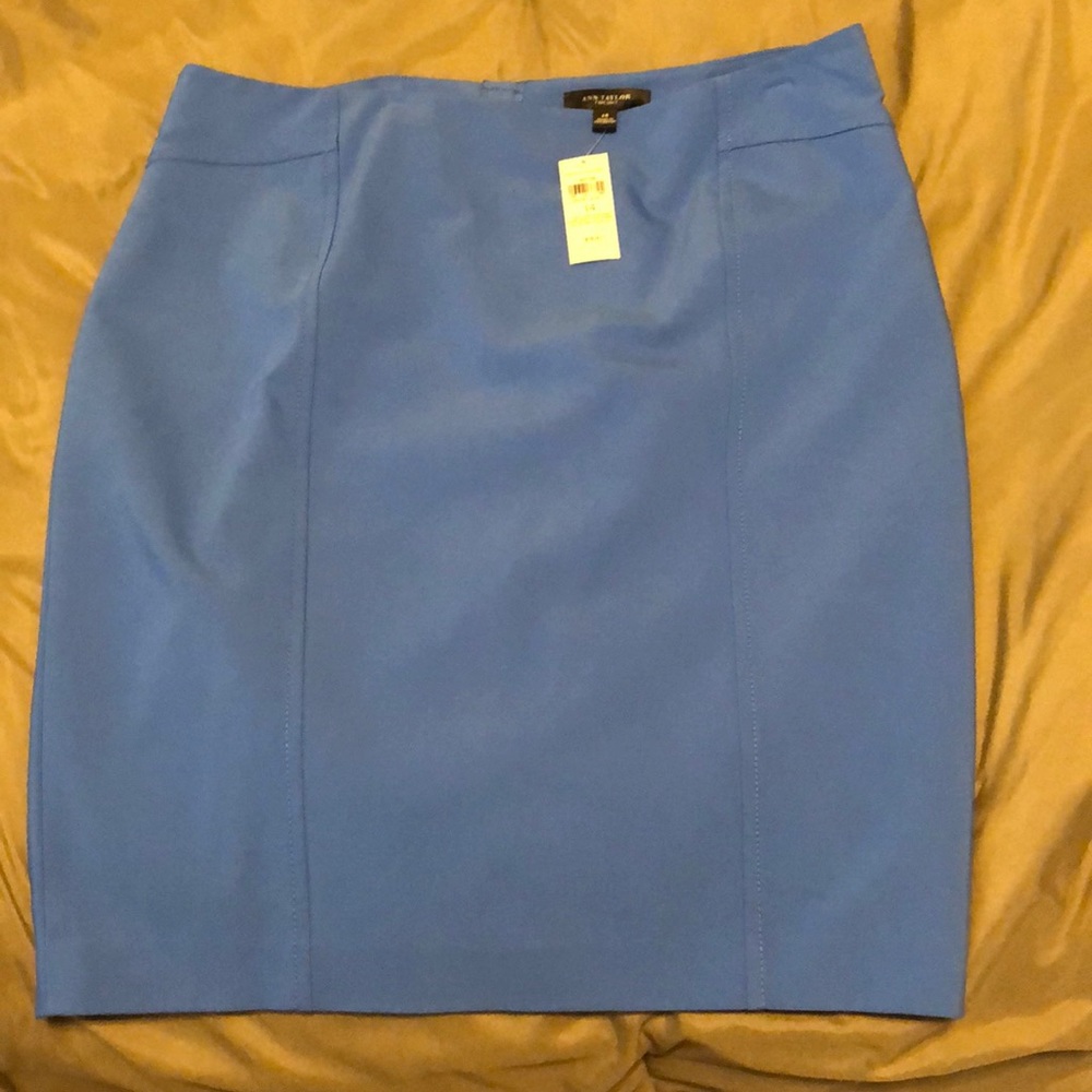 Ann Taylor Skirt-14